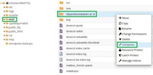 cara migrasi email antar cpanel