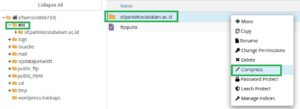 cara pindah email domain antar cpanel