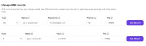 manage DNS records